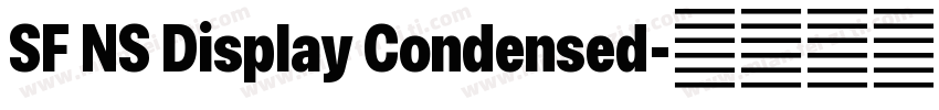 SF NS Display Condensed字体转换